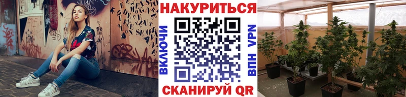 Где продают наркотики Курганинск АМФЕТАМИН А ПВП Меф Codein Псилоцибиновые грибы Гашиш Кокаин