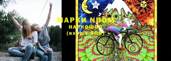 ГАЛЛЮЦИНОГЕННЫЕ ГРИБЫ Баксан