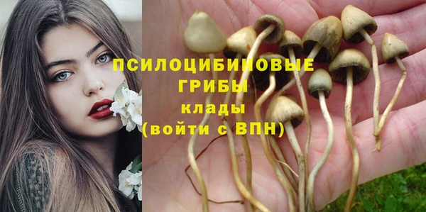 гидра Белокуриха