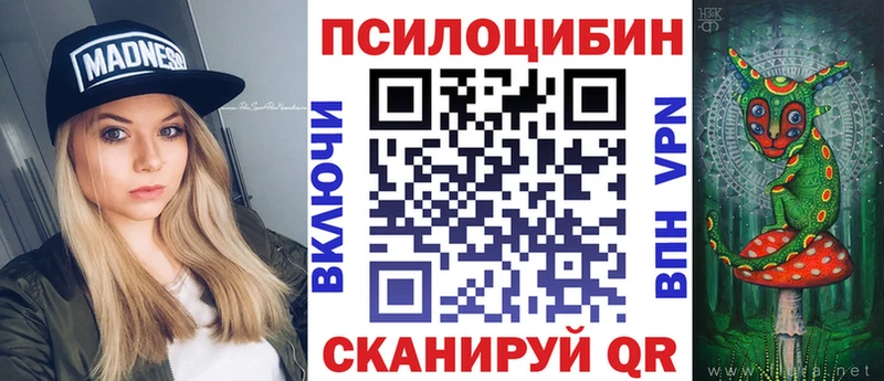 Псилоцибиновые грибы Psilocybe Курганинск
